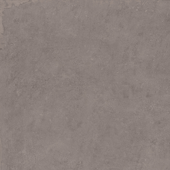 MAXXI6 90DG RM.jpg